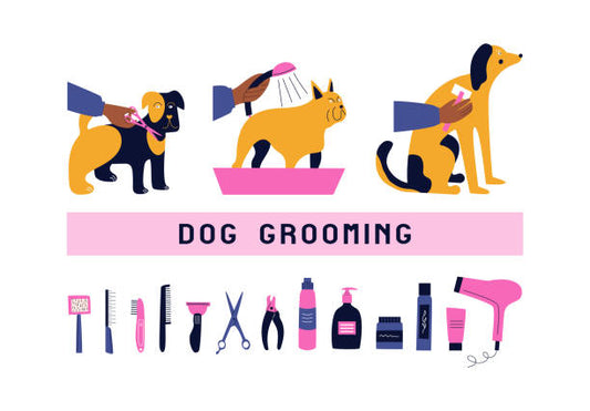 infrastructure of a dog grooming salon